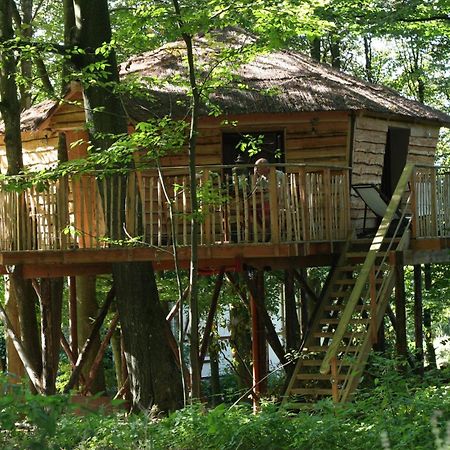 B&B La Cabane Du Bois Dormant Spa Exteriör bild