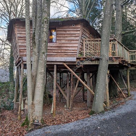 B&B La Cabane Du Bois Dormant Spa Exteriör bild